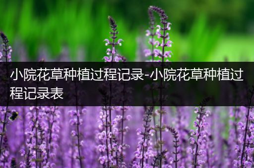 小院花草种植过程记录-小院花草种植过程记录表