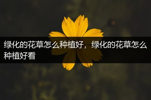 绿化的花草怎么种植好，绿化的花草怎么种植好看
