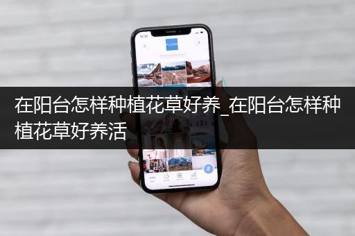 在阳台怎样种植花草好养_在阳台怎样种植花草好养活