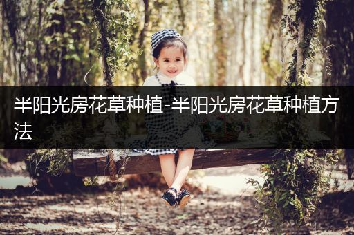 半阳光房花草种植-半阳光房花草种植方法