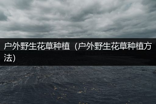 户外野生花草种植（户外野生花草种植方法）