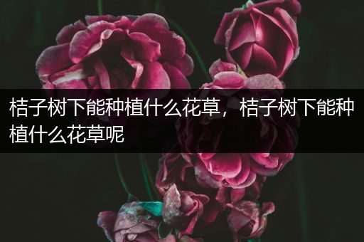 桔子树下能种植什么花草，桔子树下能种植什么花草呢
