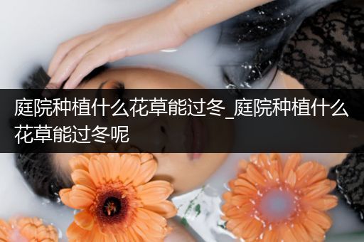 庭院种植什么花草能过冬_庭院种植什么花草能过冬呢