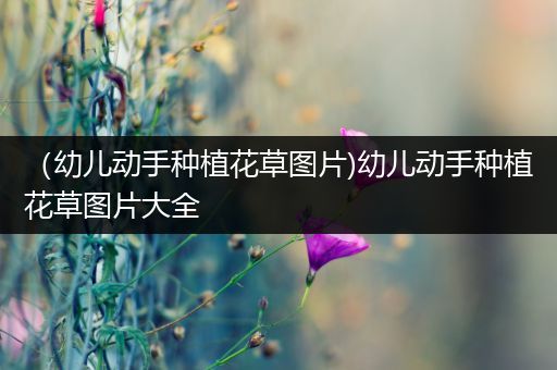 （幼儿动手种植花草图片)幼儿动手种植花草图片大全