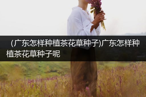 （广东怎样种植茶花草种子)广东怎样种植茶花草种子呢