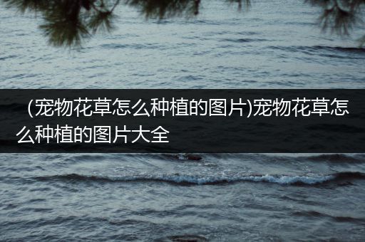 （宠物花草怎么种植的图片)宠物花草怎么种植的图片大全