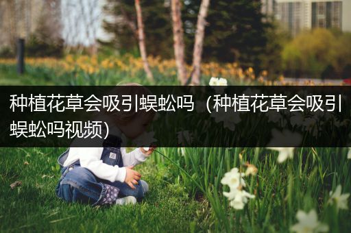 种植花草会吸引蜈蚣吗（种植花草会吸引蜈蚣吗视频）
