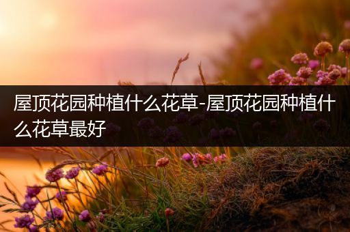 屋顶花园种植什么花草-屋顶花园种植什么花草最好