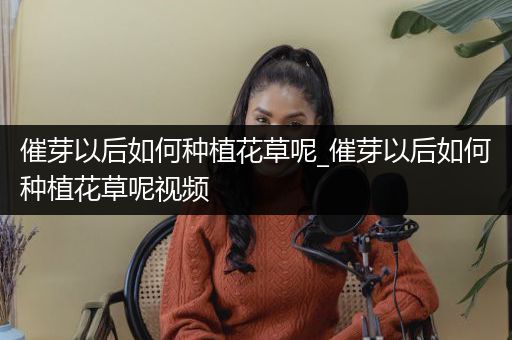 催芽以后如何种植花草呢_催芽以后如何种植花草呢视频