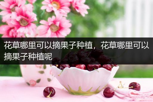 花草哪里可以摘果子种植，花草哪里可以摘果子种植呢