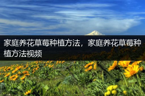 家庭养花草莓种植方法，家庭养花草莓种植方法视频