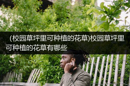 （校园草坪里可种植的花草)校园草坪里可种植的花草有哪些