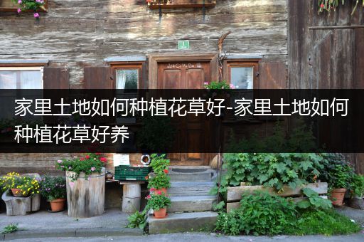 家里土地如何种植花草好-家里土地如何种植花草好养