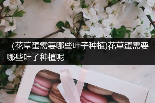 （花草蛋需要哪些叶子种植)花草蛋需要哪些叶子种植呢