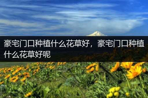 豪宅门口种植什么花草好，豪宅门口种植什么花草好呢
