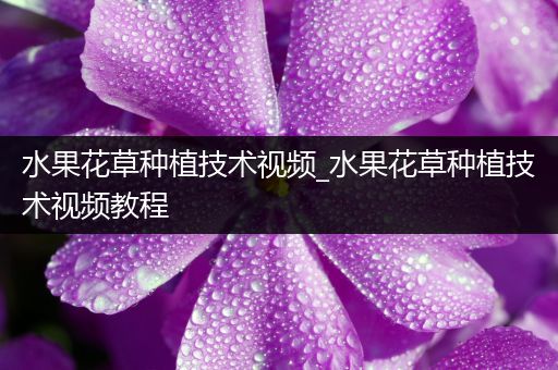水果花草种植技术视频_水果花草种植技术视频教程
