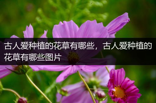 古人爱种植的花草有哪些，古人爱种植的花草有哪些图片