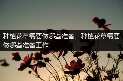 种植花草需要做哪些准备，种植花草需要做哪些准备工作
