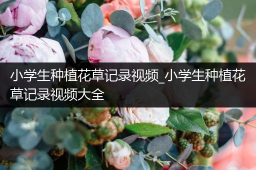 小学生种植花草记录视频_小学生种植花草记录视频大全