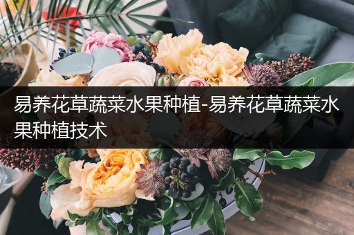 易养花草蔬菜水果种植-易养花草蔬菜水果种植技术