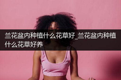 兰花盆内种植什么花草好_兰花盆内种植什么花草好养