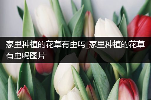 家里种植的花草有虫吗_家里种植的花草有虫吗图片