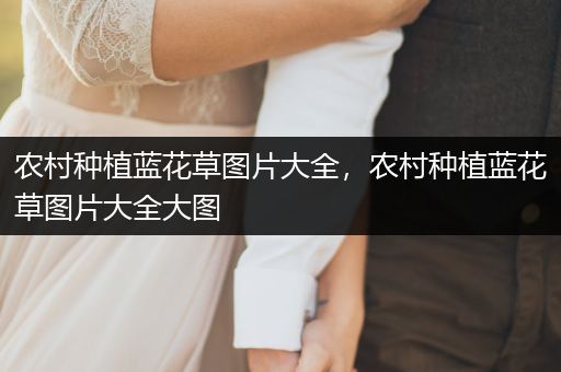 农村种植蓝花草图片大全，农村种植蓝花草图片大全大图