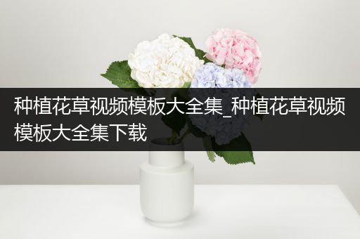 种植花草视频模板大全集_种植花草视频模板大全集下载