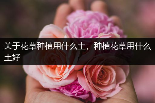 关于花草种植用什么土，种植花草用什么土好