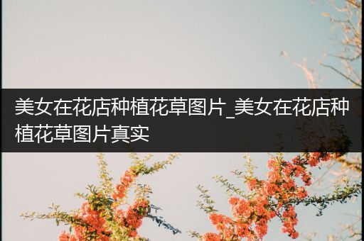 美女在花店种植花草图片_美女在花店种植花草图片真实