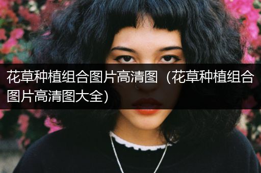 花草种植组合图片高清图（花草种植组合图片高清图大全）