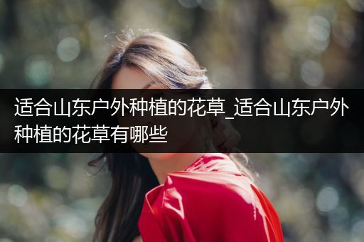 适合山东户外种植的花草_适合山东户外种植的花草有哪些