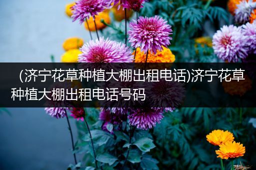 （济宁花草种植大棚出租电话)济宁花草种植大棚出租电话号码
