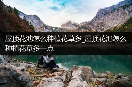 屋顶花池怎么种植花草多_屋顶花池怎么种植花草多一点