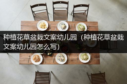 种植花草盆栽文案幼儿园（种植花草盆栽文案幼儿园怎么写）