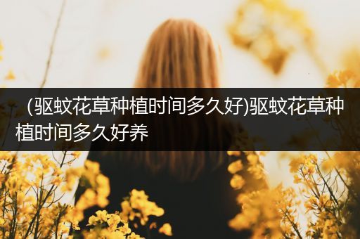 （驱蚊花草种植时间多久好)驱蚊花草种植时间多久好养