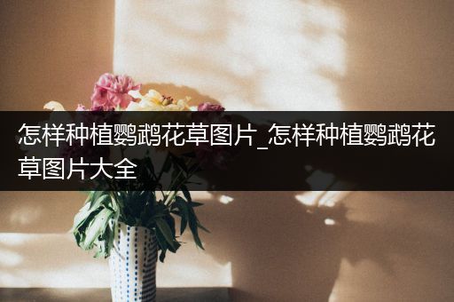 怎样种植鹦鹉花草图片_怎样种植鹦鹉花草图片大全