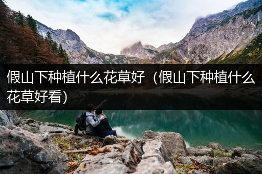 假山下种植什么花草好（假山下种植什么花草好看）