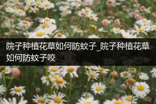 院子种植花草如何防蚊子_院子种植花草如何防蚊子咬