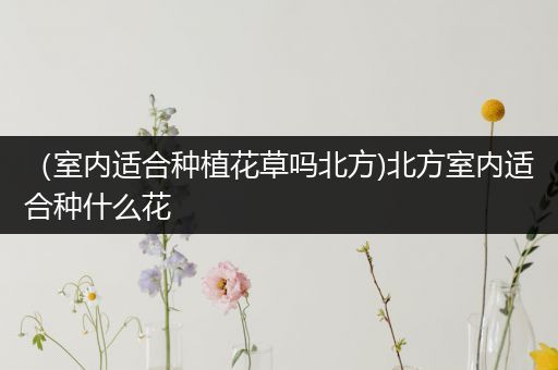 （室内适合种植花草吗北方)北方室内适合种什么花