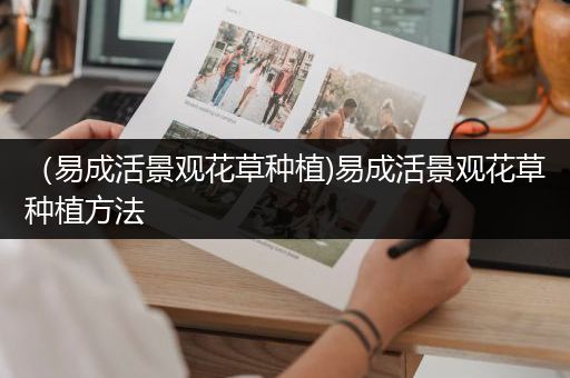 （易成活景观花草种植)易成活景观花草种植方法