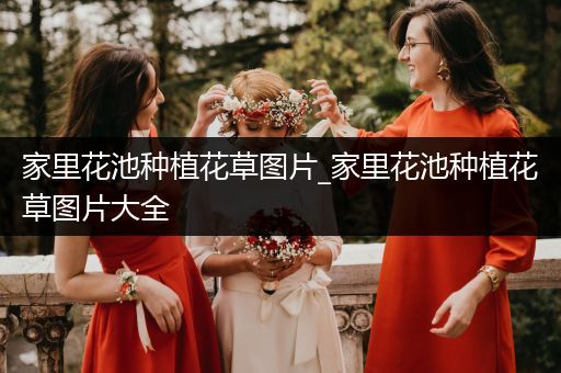 家里花池种植花草图片_家里花池种植花草图片大全