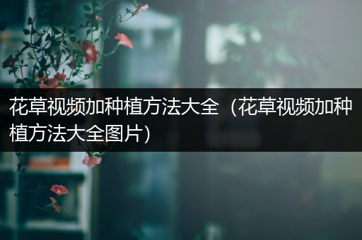 花草视频加种植方法大全（花草视频加种植方法大全图片）