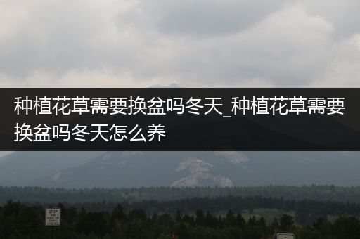 种植花草需要换盆吗冬天_种植花草需要换盆吗冬天怎么养