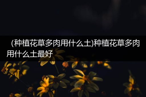 （种植花草多肉用什么土)种植花草多肉用什么土最好