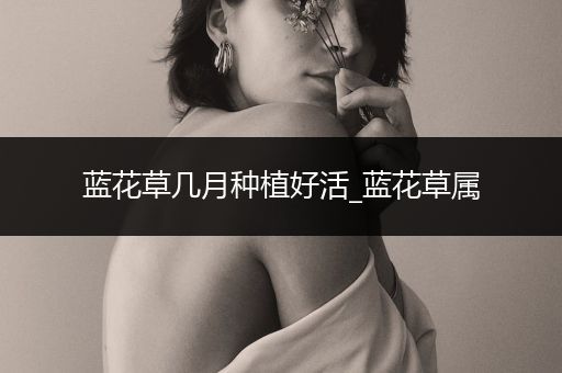蓝花草几月种植好活_蓝花草属