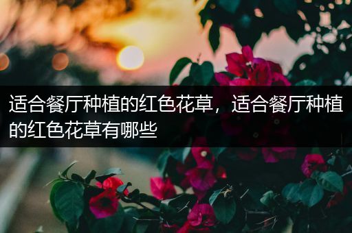 适合餐厅种植的红色花草，适合餐厅种植的红色花草有哪些