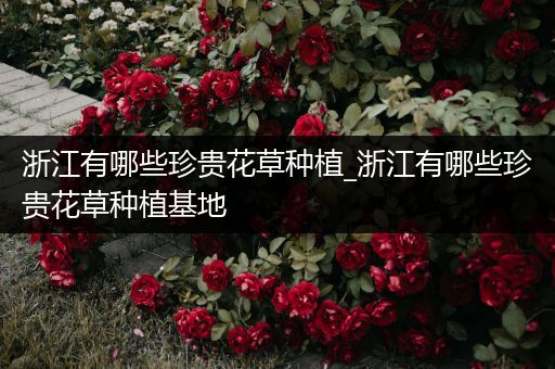 浙江有哪些珍贵花草种植_浙江有哪些珍贵花草种植基地