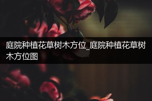 庭院种植花草树木方位_庭院种植花草树木方位图