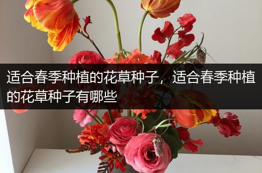适合春季种植的花草种子，适合春季种植的花草种子有哪些
